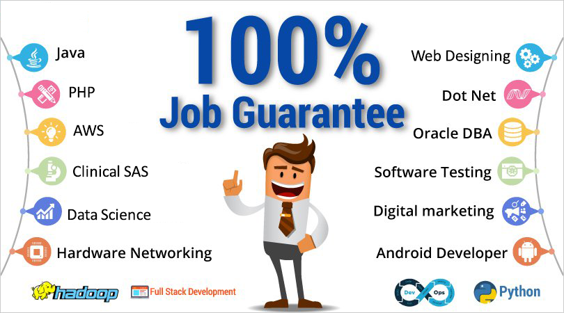 placement assistance